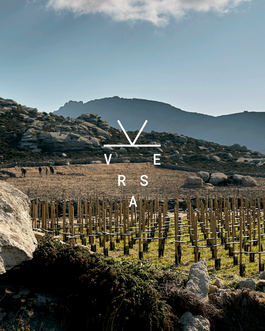 VERSA IDENTITAT — image 2 by Victor Lavega