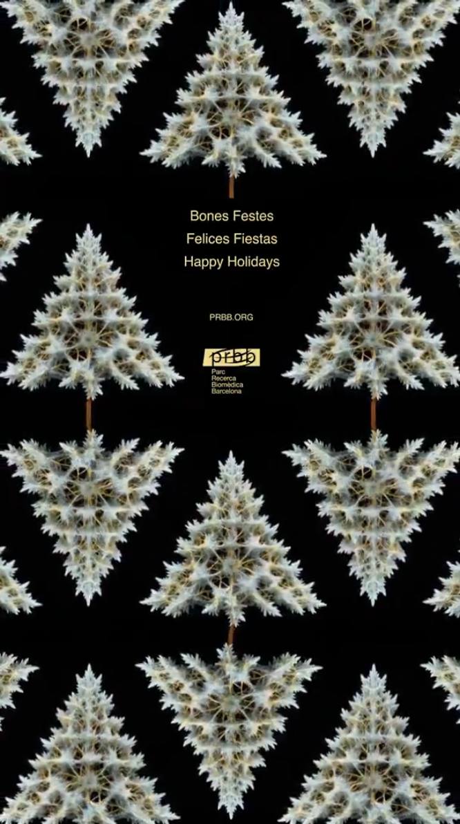 PRBB CHRISTMAS
