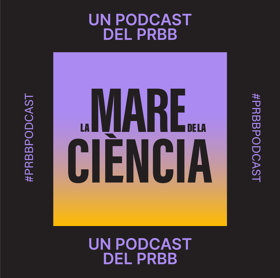 PRBB PODCAST — image 3 by Victor Lavega