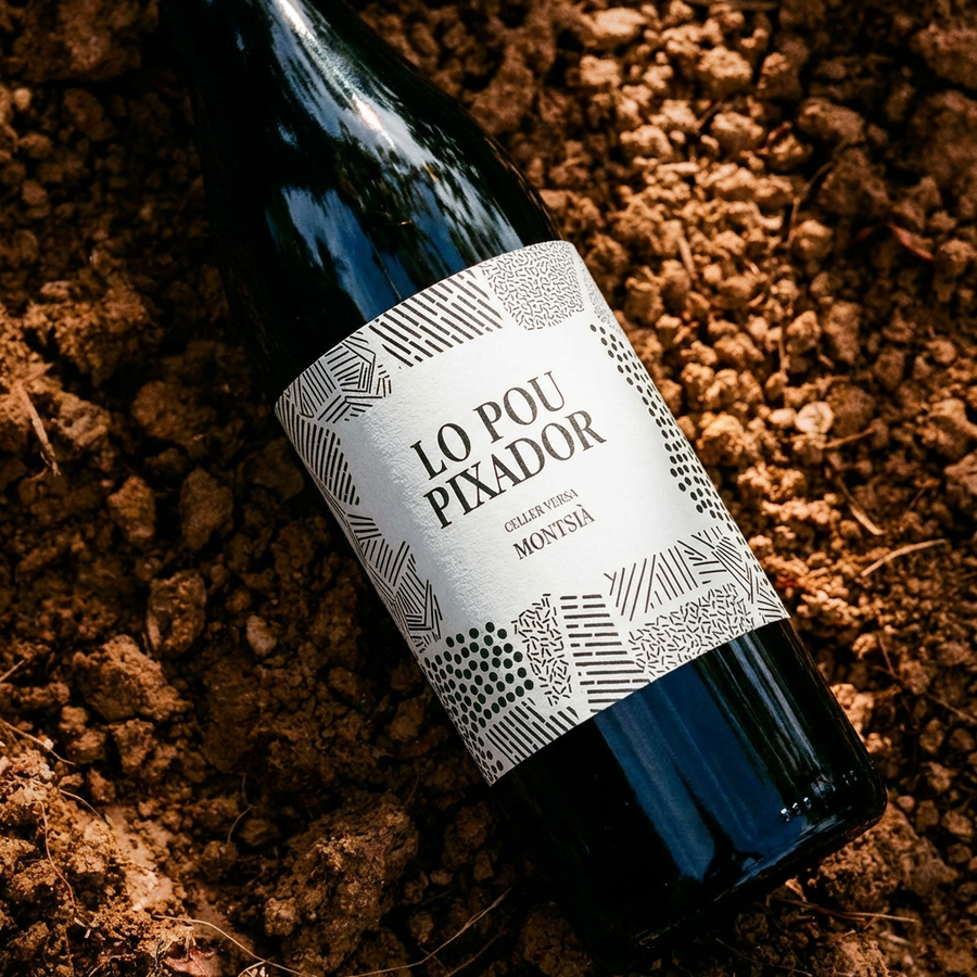 CELLER VERSA LO POU PIXADOR — image 3 by Victor Lavega